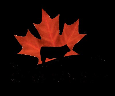 Canadian Beef from ButcherBox.ca