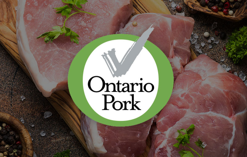 Delicious Pork Recipes to Elevate Your Everyday Meals